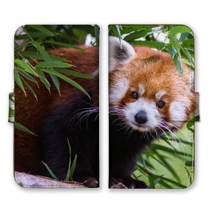 Galaxy A55 5G SC-53E P[X MNV[ A55 Jo[ X}zP[X 蒠^P[X bT[p_  Aj}  킢 R tTtT ӂ ʐ^  蒠^Jo[ X}zJo[ 