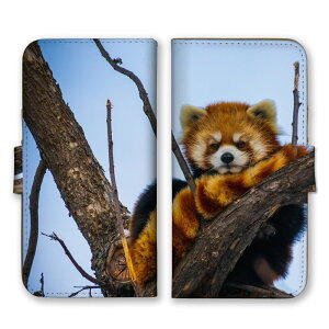 Google Pixel 6a P[X O[OsNZ6A Jo[ X}zP[X 蒠^P[X bT[p_  Aj}  킢 R tTtT ӂ ʐ^  蒠^Jo[ X}zJo[ 