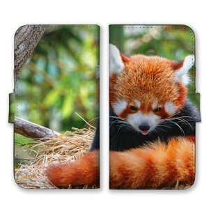 Galaxy A55 5G SC-53E P[X MNV[ A55 Jo[ X}zP[X 蒠^P[X bT[p_  Aj}  킢 R tTtT ӂ ʐ^  蒠^Jo[ X}zJo[ 