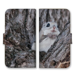 Xperia 10 IV SO-52C SOG07 A202SO P[X GNXyA10 }[NtH[ X}zP[X 蒠^P[X K  tNK G]K  Aj}  킢  ʐ^ X 蒠