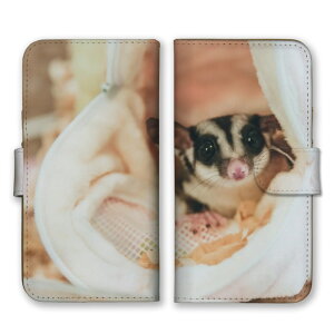 AQUOS sense9 SH-53E SHG14 A405SH SH-M29 ケース アクオスセンス9 カバー スマホケース 手帳型ケース モモンガ ももんが フクロモモンガ エゾモモンガ 動物 アニマル 可愛い かわいい 癒し 写真 森 手帳