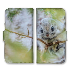 Xperia 10 IV SO-52C SOG07 A202SO P[X GNXyA10 }[NtH[ X}zP[X 蒠^P[X K  tNK G]K  Aj}  킢  ʐ^ X 蒠