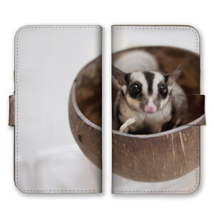 AQUOS sense9 SH-53E SHG14 A405SH SH-M29 P[X ANIXZX9 Jo[ X}zP[X 蒠^P[X K  tNK G]K  Aj}  킢  ʐ^ X 蒠