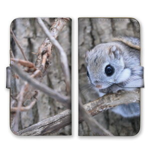 AQUOS wish4 SH-52E ケース アクオスウィッシュ4 カバー スマホケース 手帳型ケース モモンガ ももんが フクロモモンガ エゾモモンガ 動物 アニマル 可愛い かわいい 癒し 写真 森 手帳型カバー ス