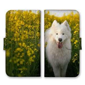 AQUOS wish5 SH-52F P[X ANIXEBbV5 Jo[ X}zP[X 蒠^P[X TGh ^  e  ybg  킢 ʐ^  VA zCg 蒠^Jo[ X}zJ