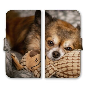 _30%OFFzz^ iPhone 17 Pro P[X ACtH17v iPhone17Pro Jo[ Apple Abv X}zP[X 蒠^P[X `   񂿂 e OR[g  ybg  킢 