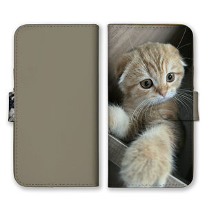 arrows Alpha F-51F P[X Jo[ A[Y At@ X}zP[X 蒠^P[X L lR L XReBbVtH[h }`J ʐ^  IV   x[W 蒠^Jo