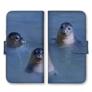 Xperia 10 VI SO-52E P[X GNXyA 10 }[NVbNX 6 Jo[ X}zP[X 蒠^P[X AUV S}tAUV 炵 ct  Aj} ʐ^  킢 蒠^Jo[ X