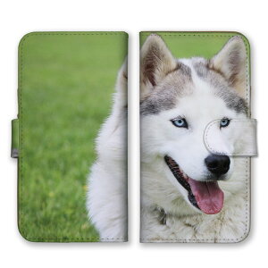 AQUOS sense6 SHG07 SH-54B SHG05 SH-M19 P[X ANIXZX6 Jo[ X}zP[X 蒠^P[X VxAnXL[ nXL[ T  ybg ʐ^   킢 N[ 蒠^J