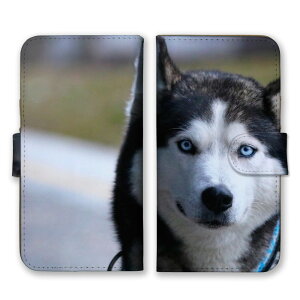 AQUOS sense6 SHG07 SH-54B SHG05 SH-M19 P[X ANIXZX6 Jo[ X}zP[X 蒠^P[X VxAnXL[ nXL[ T  ybg ʐ^   킢 N[ 蒠^J