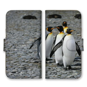 AQUOS sense9 SH-53E SHG14 A405SH SH-M29 ケース アクオスセンス9 カバー スマホケース 手帳型ケース ペンギン 王様ペンギン オウサマペンギン コウテイ 動物 アニマル 写真 可愛い かわいい ブルー 手