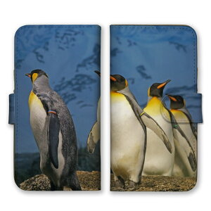 arrows Alpha F-51F P[X Jo[ A[Y At@ X}zP[X 蒠^P[X yM lyM IET}yM REeC  Aj} ʐ^  킢 u[ 蒠^Jo[ X