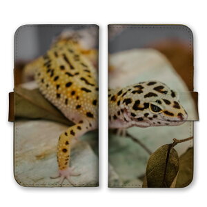 Redmi Note 10 JE XIG02 P[X h~m[g10JE Jo[ X}zP[X 蒠^P[X Ip qEgJQhLgJQ gJQ  ঒ ʐ^  IV 蒠^Jo[ X}zJo