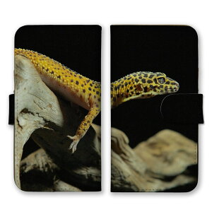 AQUOS sense9 SH-53E SHG14 A405SH SH-M29 P[X ANIXZX9 Jo[ X}zP[X 蒠^P[X Ip qEgJQhLgJQ gJQ  ঒ ʐ^  IV 蒠^Jo[ 