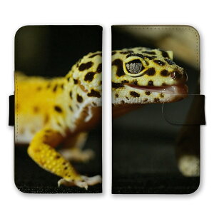 AQUOS sense7 SH-53C SHG10 P[X ANIXZX7 vX Jo[ X}zP[X 蒠^P[X Ip qEgJQhLgJQ gJQ  ঒ ʐ^  IV 蒠^Jo[ X