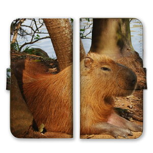 _30%OFFzz^ Galaxy A36 5G SC-54F P[X MNV[A36 Jo[ X}zP[X 蒠^P[X Jso ҂΂  Aj} ɂ܂ ӂ ʐ^  킢 蒠^Jo[ X}zJ