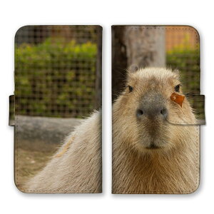 iPhone 17 Pro P[X ACtH17v iPhone17Pro Jo[ Apple Abv X}zP[X 蒠^P[X Jso ҂΂  Aj} ɂ܂ ӂ ʐ^  킢 蒠^Jo[ X}