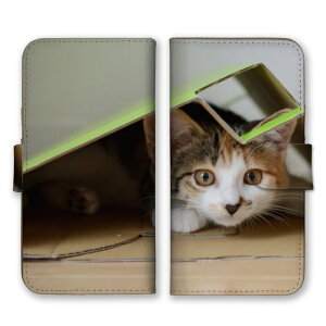 Google Pixel 6a P[X O[OsNZ6A Jo[ X}zP[X 蒠^P[X L lR ˂ OєL ݂˂ n` glR ʐ^  킢 ybg ɂ܂ 蒠^Jo[ X}zJo