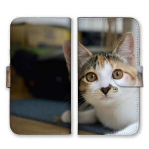 AQUOS sense9 SH-53E SHG14 A405SH SH-M29 ケース アクオスセンス9 カバー スマホケース 手帳型ケース 猫 ネコ ねこ 三毛猫 みけねこ ハチワレ トラネコ 写真 可愛い かわいい ペット あにまる 手帳型カバ