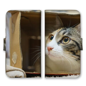 Google Pixel 6a ケース グーグルピクセル6A カバー スマホケース 手帳型ケース 猫 ネコ ねこ 三毛猫 みけねこ ハチワレ トラネコ 写真 可愛い かわいい ペット あにまる 手帳型カバー スマホカバ