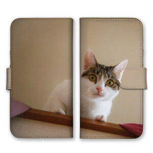 OPPO Reno9 AP[X Ib|m 9A Jo[ X}zP[X 蒠^P[X L lR ˂ OєL ݂˂ n` glR ʐ^  킢 ybg ɂ܂ 蒠^Jo[ X}zJo[ v`v