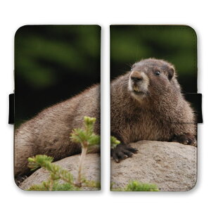 AQUOS sense9 SH-53E SHG14 A405SH SH-M29 P[X ANIXZX9 Jo[ X}zP[X 蒠^P[X }[bg ܁[   ɂ܂   킢 ʐ^ R X 蒠^Jo[ X