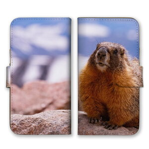 Xperia XZ2 SO-03K SOV37 702SO P[X GNXyAXZ2 Jo[ X}zP[X 蒠^P[X }[bg ܁[   ɂ܂   킢 ʐ^ R X 蒠^Jo[ X}zJ