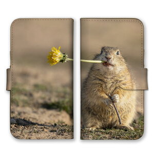 Galaxy A51 5G SC-54A SCG07 P[X MNV[A51 Jo[ X}zP[X 蒠^P[X }[bg ܁[   ɂ܂   킢 ʐ^ R X 蒠^Jo[ X}zJo