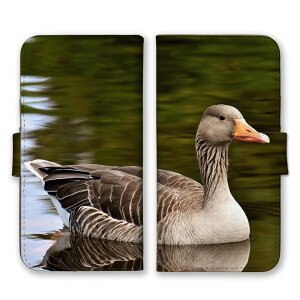 Redmi Note 13 Pro P[X bh~[m[g13v Jo[ X}zP[X 蒠^P[X K`E 傤  Ƃ  O[X H  ʐ^ tHg  킢 蒠^Jo[ X}zJo[ v