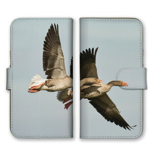 \30%OFF配布中/ iPhone 16 Pro ケース アイフォン16プロ カバー スマホケース 手帳型ケース ガチョウ がちょう 鳥 とり 鳥類 グース 羽根 翼 写真 フォト 可愛い かわいい 手帳型カバー スマホカ