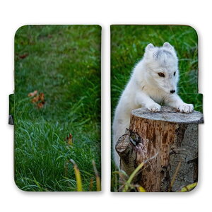 Google Pixel 6 P[X O[OsNZ6 Jo[ X}zP[X 蒠^P[X zbLNMcl Lcl kɌ  ~  Aj} ʐ^  tt ӂ 蒠^Jo[ X}zJo[ v