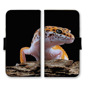 AQUOS sense9 SH-53E SHG14 A405SH SH-M29 P[X ANIXZX9 Jo[ X}zP[X 蒠^P[X Ip qEgJQhL ঒ gJQ  ybg  ʐ^ 蒠^Jo[ X}z