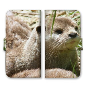 _zN[|zz^ iPhone 16 Plus P[X ACtH16vX Jo[ X}zP[X 蒠^P[X JE\ RcJE\ 키    킢 ʐ^ 蒠^Jo[ X}