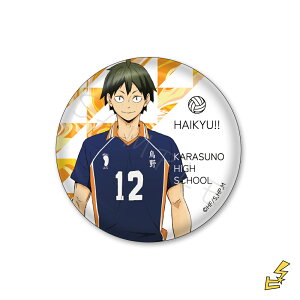 wnCL[!!x 5e y[p[EFCg SD(R) FObY LN^[ObY