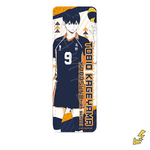 wnCL[!!x4e U[obW (O) B (eRY) FObY LN^[ObY