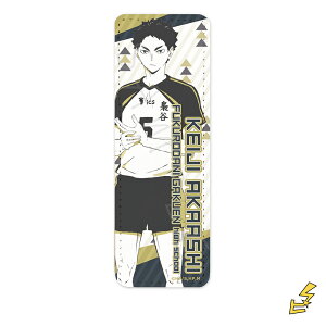 wnCL[!!x4e U[obW (O) J (Ԉ) FObY LN^[ObY