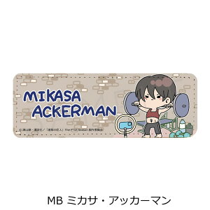 wi̋l The Final Seasonx 8e U[obW (O) Mocho-B (~JT) FObY LN^[ObY