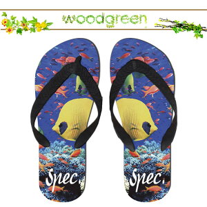  spec.  XybN lC !!   T_ r[`T_ r[T T}[   v[ O C  AEghA uh fUC fUCi[ Xbp Aj}J[ qE