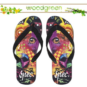  spec.  XybN lC !! fUCi[Y  lR 킢 CXg r[`T_ r[T T}[   v[ O C  AEghA uh fUC fUCi[ Xbp Aj