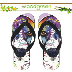  spec.  XybN lC !! fUCi[Y  lR 킢 CXg r[`T_ r[T T}[   v[ O C  AEghA uh fUC fUCi[ Xbp Aj