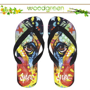  spec.  XybN lC !! fUCi[Y  lR 킢 CXg r[`T_ r[T T}[   v[ O C  AEghA uh fUC fUCi[ Xbp Aj