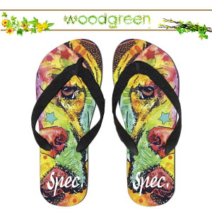  spec.  XybN lC !! fUCi[Y  lR 킢 CXg r[`T_ r[T T}[   v[ O C  AEghA uh fUC fUCi[ Xbp Aj