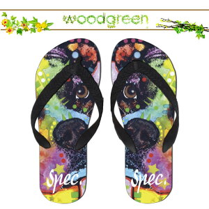  spec.  XybN lC !! fUCi[Y  lR 킢 CXg r[`T_ r[T T}[   v[ O C  AEghA uh fUC fUCi[ Xbp Aj