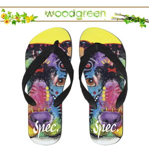  spec.  XybN lC !! fUCi[Y  lR 킢 CXg r[`T_ r[T T}[   v[ O C  AEghA uh fUC fUCi[ Xbp Aj