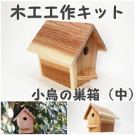 手作り工作キット 小鳥の巣箱（中）かなづちで組み立て 岡山県産 夏休み工作 木工 無垢の木 杉 国産 木工…