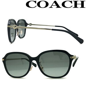 コーチ サングラス メンズの人気商品 通販 価格比較 価格 Com