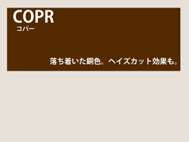 【レンズ交換オプション】カラーレンズ「コパ―」＜フルカラー＞ LENS-COPR-F 伊達メガネ 老眼鏡 度付き 遠近両用レンズなどに対応