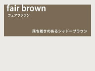 【レンズ交換オプション】カラーレンズ「フェアブラウン」＜グラデーション＞ LENS-FABR-G 伊達メガネ 老…
