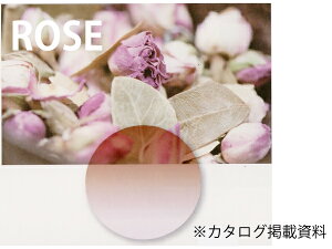 yYIvVzJ[Yu[YvcCJ[ LENS-ROSE-T ɒBKl Vዾ xt ߗpYȂǂɑΉ