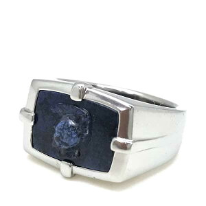 y݌ɏzDIESEL w O fB[[ Y&fB[X Vo[×lCr[ DX1176040 uh